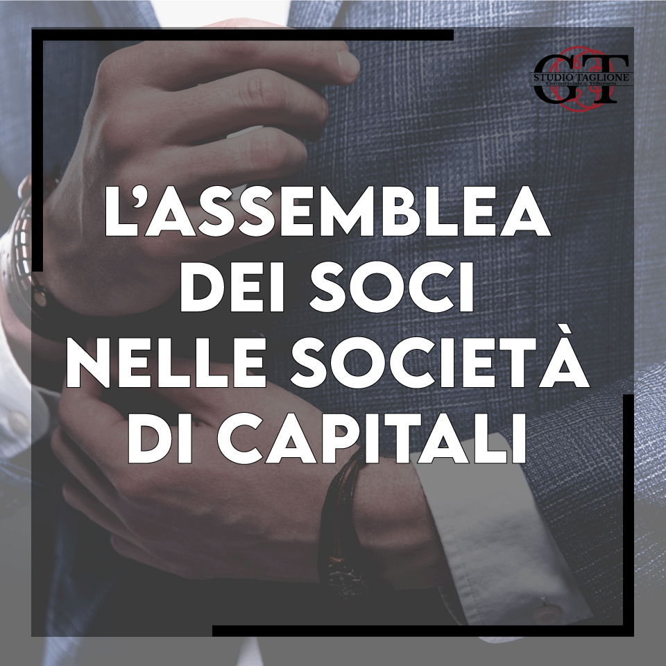 assemblea-dei-soci-guida-pratica-alla-convocazione-allo-svolgimento-in-presenza-e-da-remoto-e-alla-verbalizzazione.png