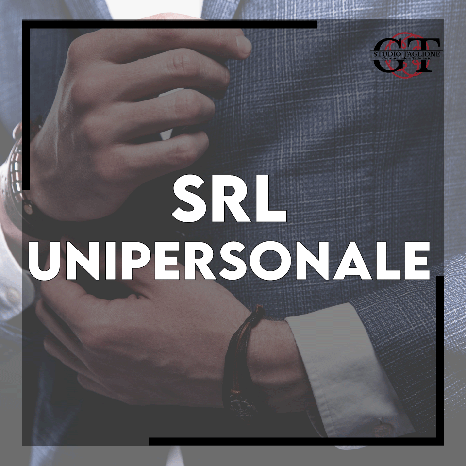 srl-unipersonale-quando-conviene-costi-reali-e-come-aprirla-nel-2026.png