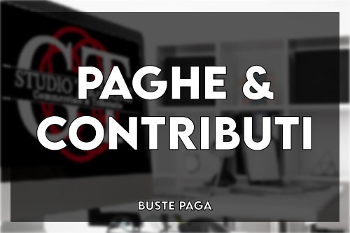 Elaborazione e Gestione Paghe e Contributi