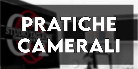 Pratiche Camerali: Variazioni al Registro delle Imprese